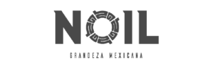 Sitio Grupo Noil-01